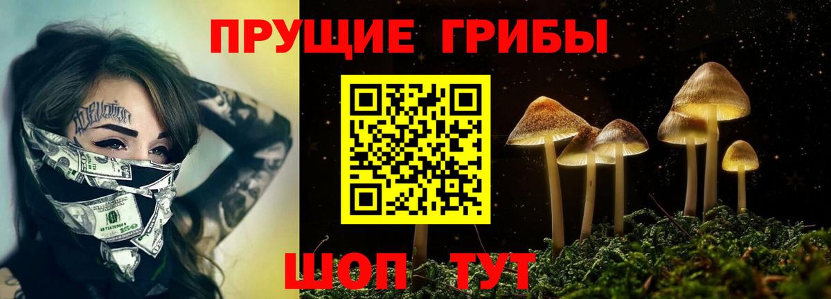 закладки  Псилоцибиновые грибы Cubensis  Вход с VPN  Королёв  Галлюциногенные грибы Psilocybine cubensis 